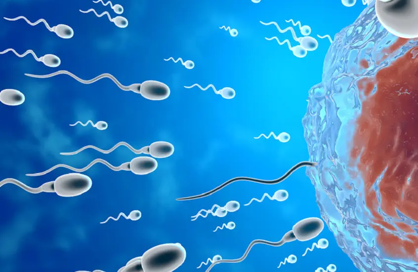 عامل غير متوقع يؤثر على الحيوانات المنوية!